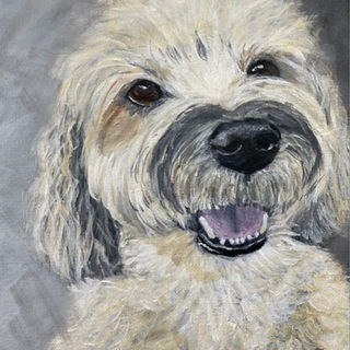 Wheaten Terrier