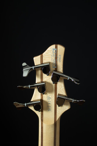 Contra Baixo Ibanez BTB 845 | The Gear