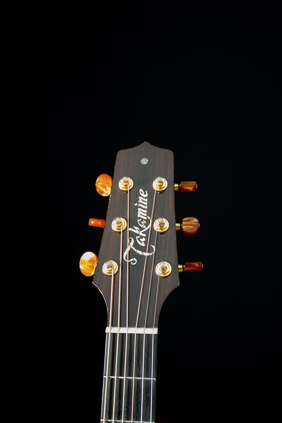Miniatura: Violão Takamine Santa Fé TSF48C