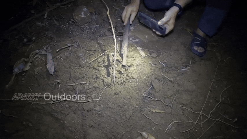 rapidsave.com_dwarf_reed_snake_pseudorabdion_longiceps-5qc6xlxpg5sa1-ezgif.com-optimize.gi