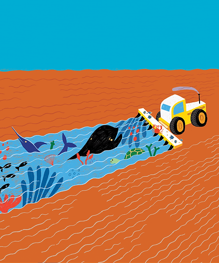 ÁLBUM ILUSTRDO LAUFER ILUSTRACIÓN