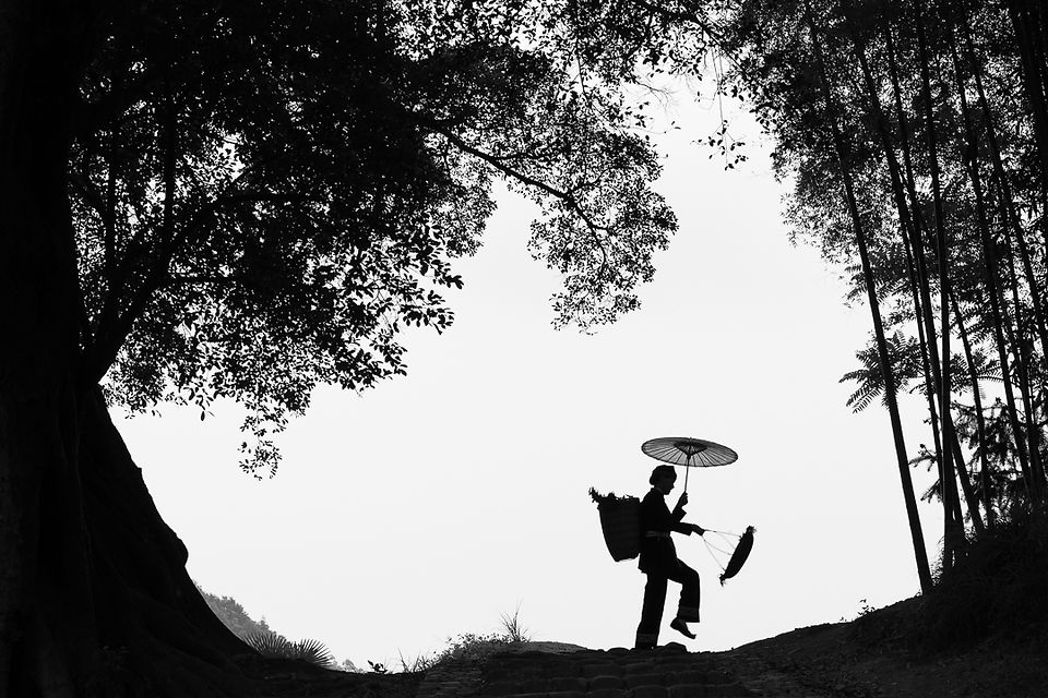 Photographed in Xiapu, Fujian province, China.