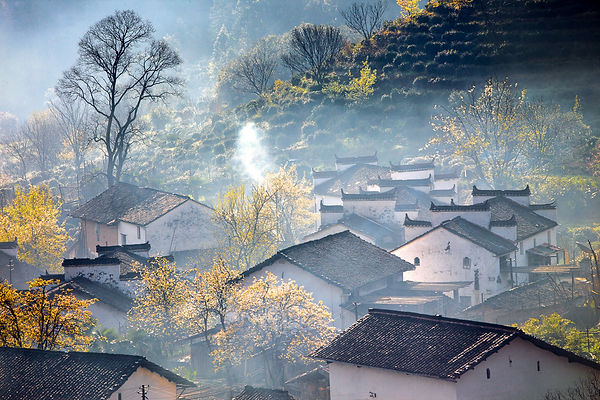Morning haze in a village