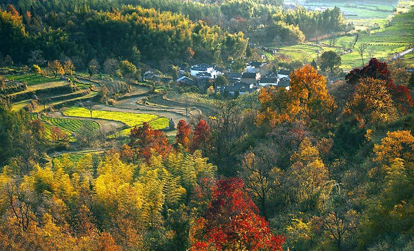 Fall colors in Huizhou