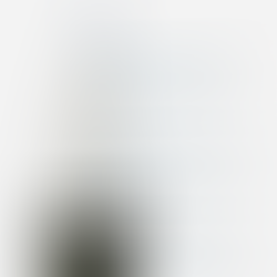 2025 Fundraiser Update