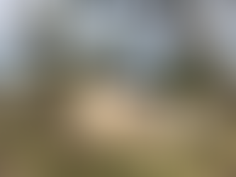 科爾多瓦 住宅 | Fomento Estudio