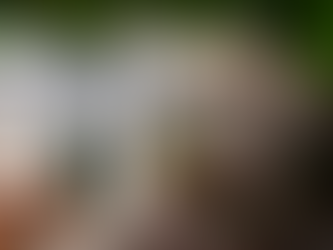 巴西Boa Vista 島Sodade 住宅 | estudio treze.