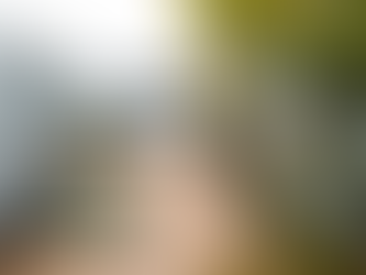 松本 三之丸 廣場 | MORIIS Atelier + Ouvi + Atelier and | Tatsuo WAOKA Laboratory