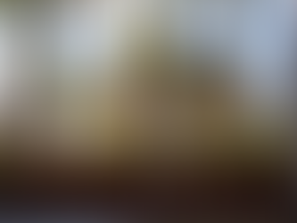 Nexus House 威尼斯住宅 | Woods + Dangaran