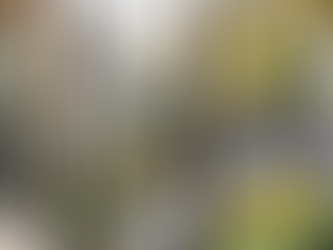 科羅拉多農莊 | CCY Architects