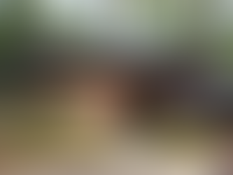 樹林海濱別墅 | Murdough Design