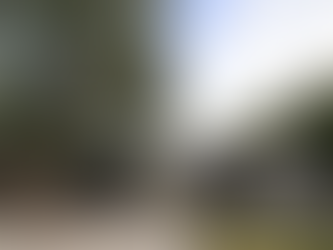 Bonsai House 加州 盆景屋 | Matthew Royce Architecture