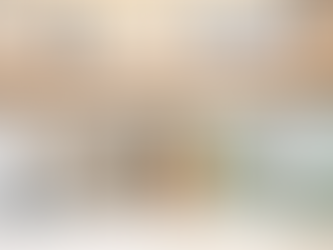 NZ10 公寓 | auba studio