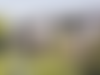 自然融為一體法納姆住宅Farnham house | Sketch Architects