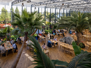 Flor og Fjære 溫室 | Helen & Hard