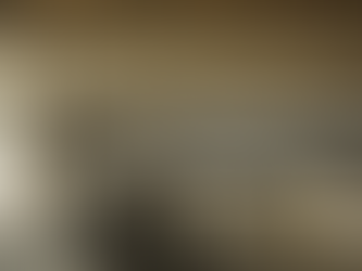 馬里布住宅 | Victor B. Ortiz Architecture