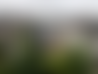 都柏林小屋 | Scullion Architects