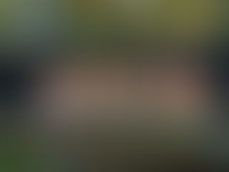 Quarry Studios 2022 年杜蘭獎 | Moxon Architects