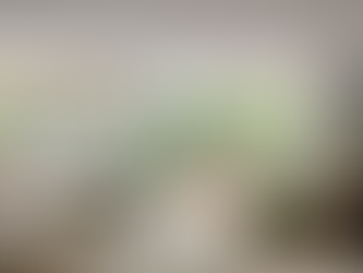 聖保羅Ibiapinópolis 公寓 | Ana Sawaia Arquitetura