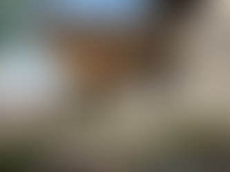 Cheetah Plains野生動物園式建築 | ARRCC