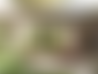 巴西聖保羅LRM 住宅 | Studio AG Arquitetura