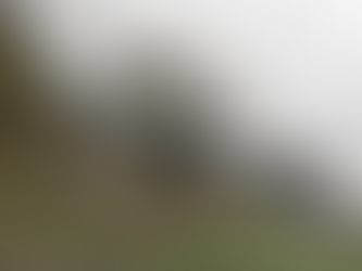 Zierhof 的客廳 | NAEMAS Architekturkonzepte