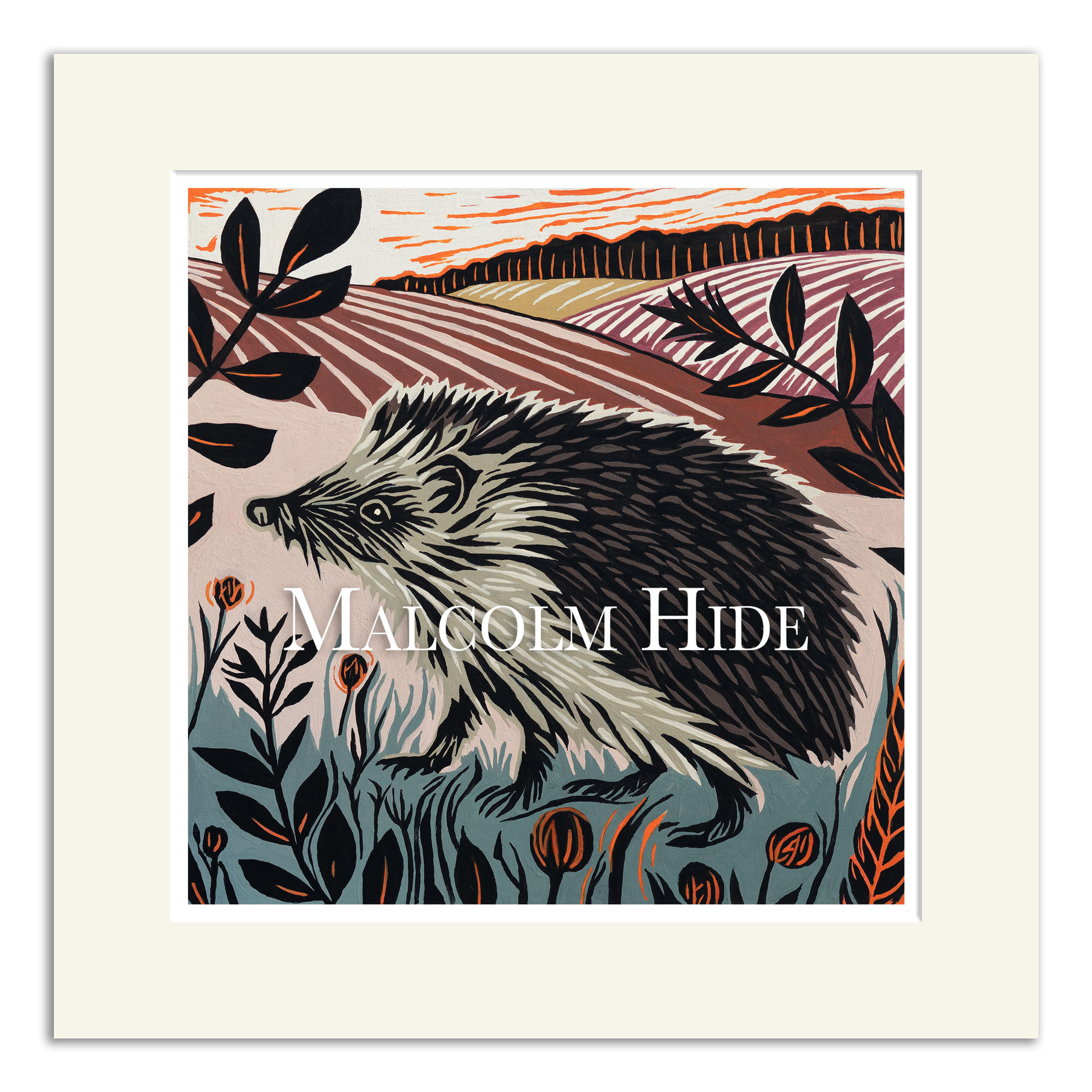 Wild & Free - The Hedgehog