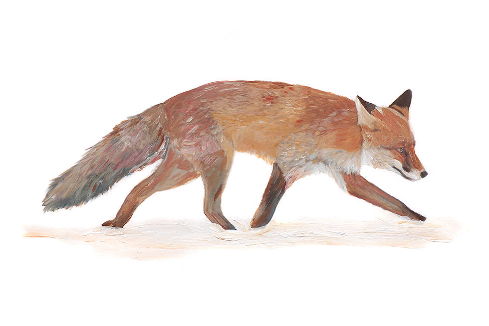 On The Move by Joanne Harmer