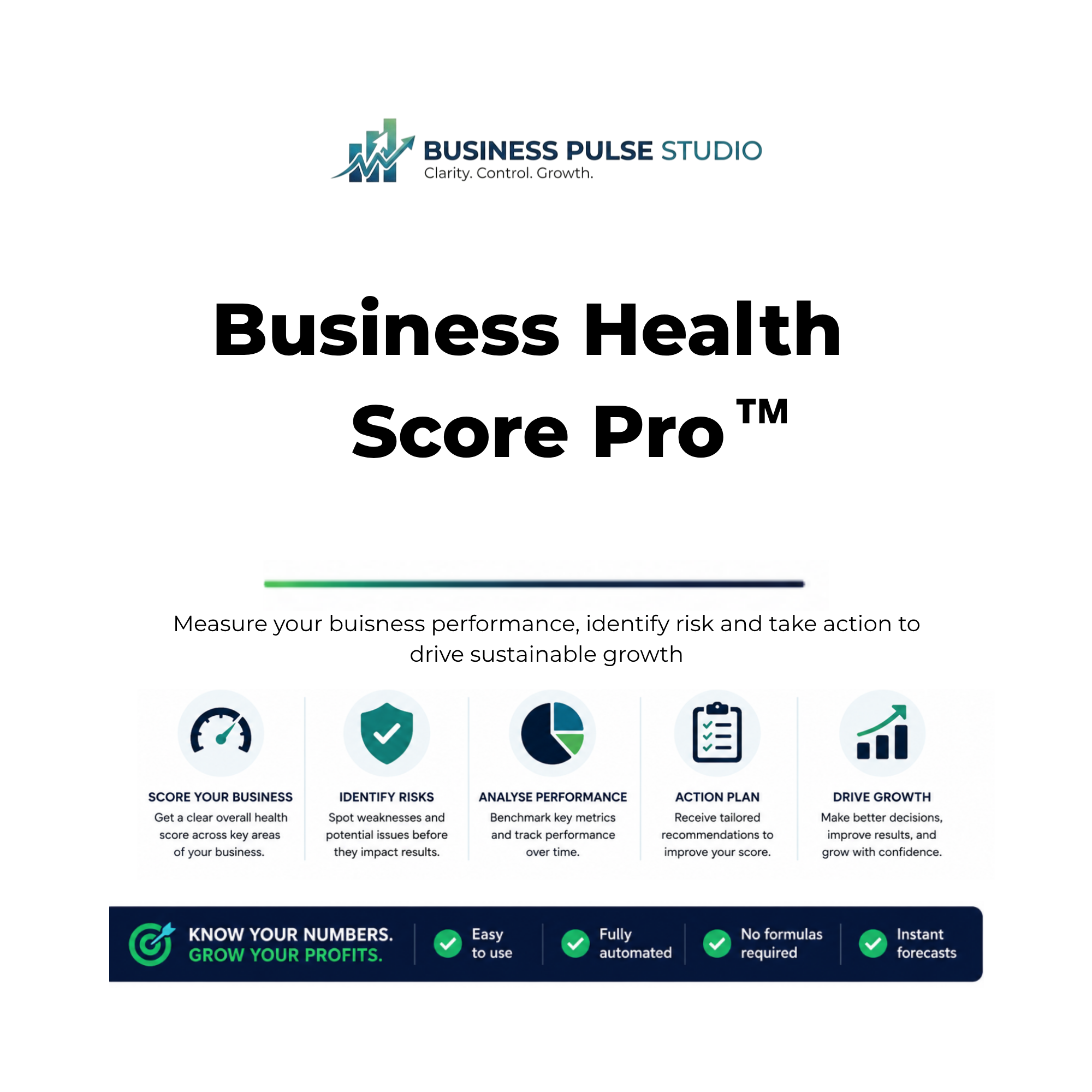 Business Health Score Pro™