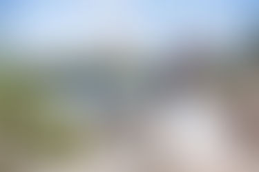 Turnberry Isle and Temple Beth Torah Wedding: Michelle + Amit