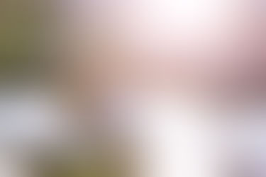 New York Engagement : Ann + Darrell