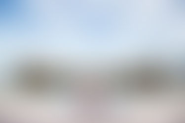 Vizcaya Engagement : Janelle + Nathan