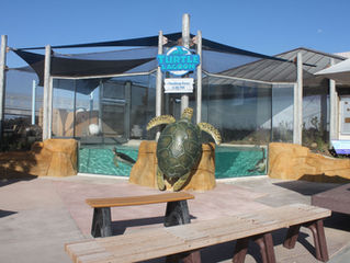 Living Coast Discovery Center to Celebrate Grand Opening of
Two New Exhibits