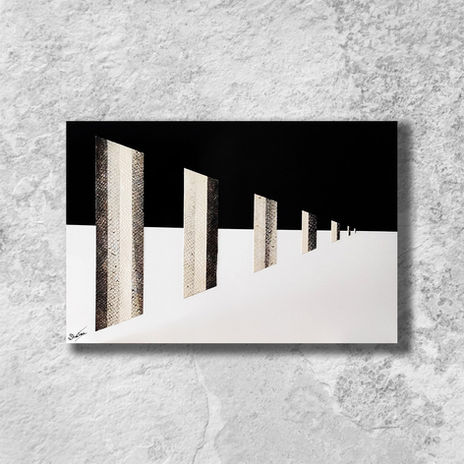 Sténopée - Skantenn, artiste Lorient, création en cuir de poisson Pays de Lorient - Blandine Roudaut artiste Lorient - Tableau Lorient - Artiste Bretagne