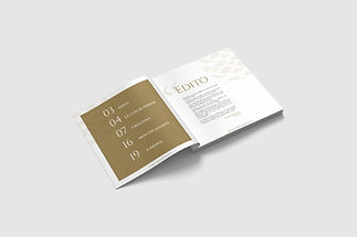 Dossier de presse Skantenn - Caroline Aubry - Graphiste Lorient - Designer graphique Paris - Mise en page Lorient - identité visuelle Lorient - logo - signalétique - packaging - webdesign - Graphiste Bretagne - Graphiste Morbihan - Lorient