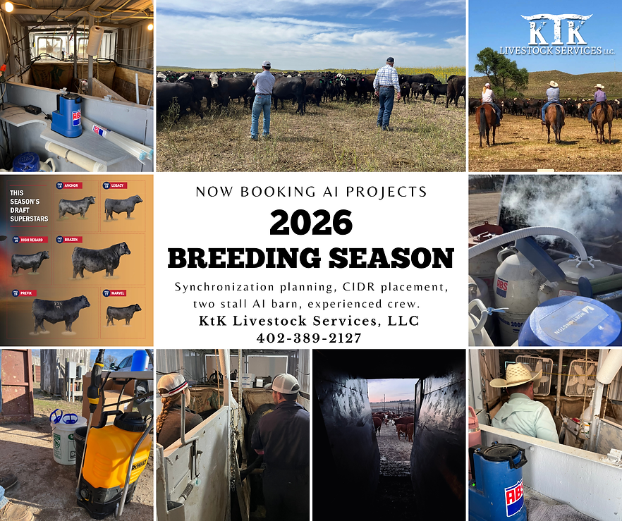 Booking 2026 AI Projects.png