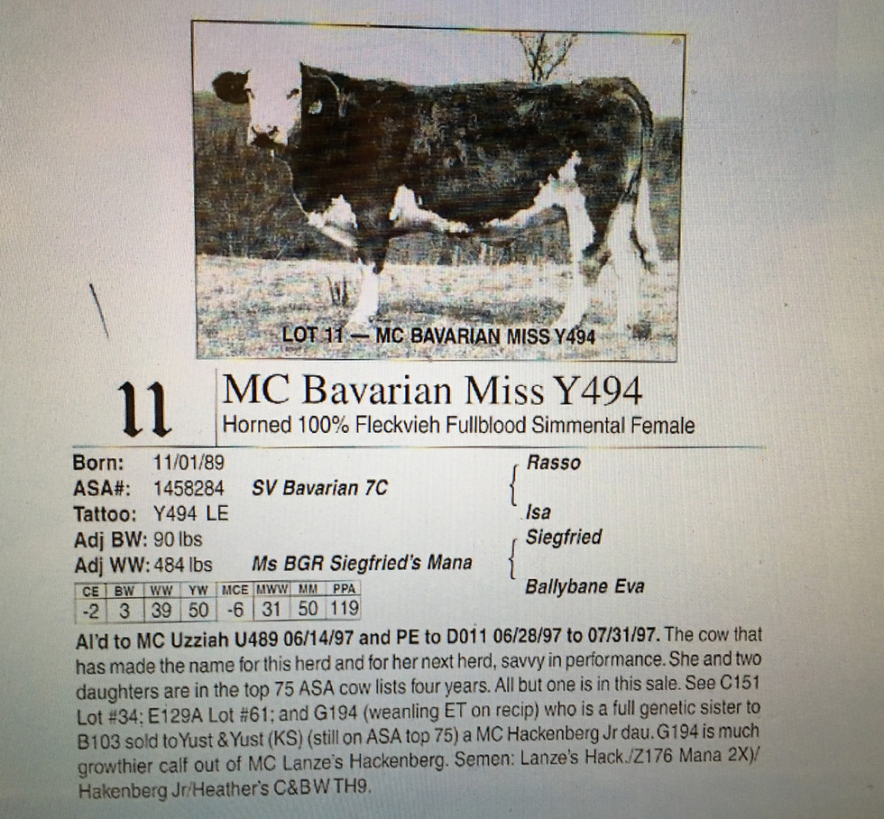 MC Bavarian Miss Y494_edited.jpg