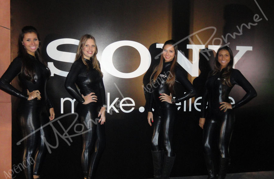 Budweiser Haute Kart Challenge- SONY