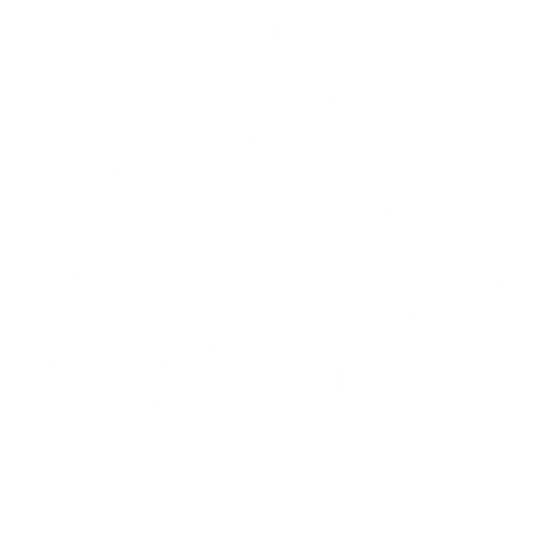 The Night Owl Logo