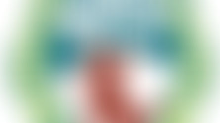 MARATHON DU MONT BLANC - 42KM 2200m D+ (Chamonix)