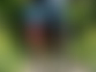 PILATRAIL - 21km 950m D+ (Veranne 42)