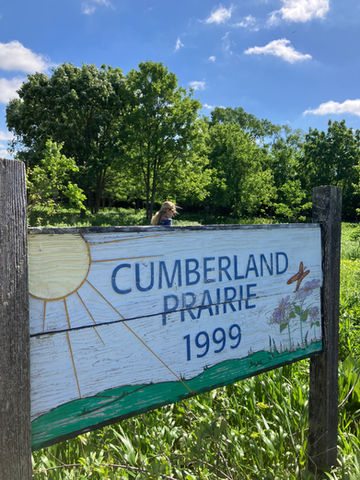Cumberland Prairie