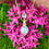 Thumbnail: Finial Pendant