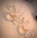 Thumbnail: Espresso cups