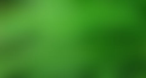 На бензине в Сочи " ни ногой"