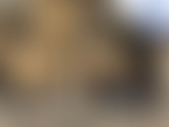 Принятие закона об аттестации гидов станет главным для туризма в 2018 году