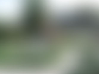 Волшебные пузырьки, солнце и море