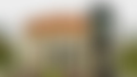 Усадьба Немцевичей, Царь- Миротворец и Брестский мир