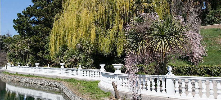 Отправиться на юг зимой- Адлер : за или против