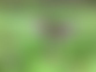 Лето 2020 : от тура в Арктику до "кухонных посиделок"